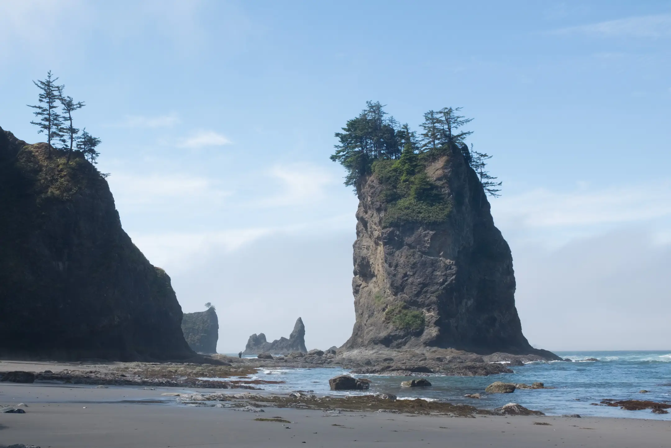 Watercolor Fundamentals: Our First Extended Course Was a Success! | Art ...