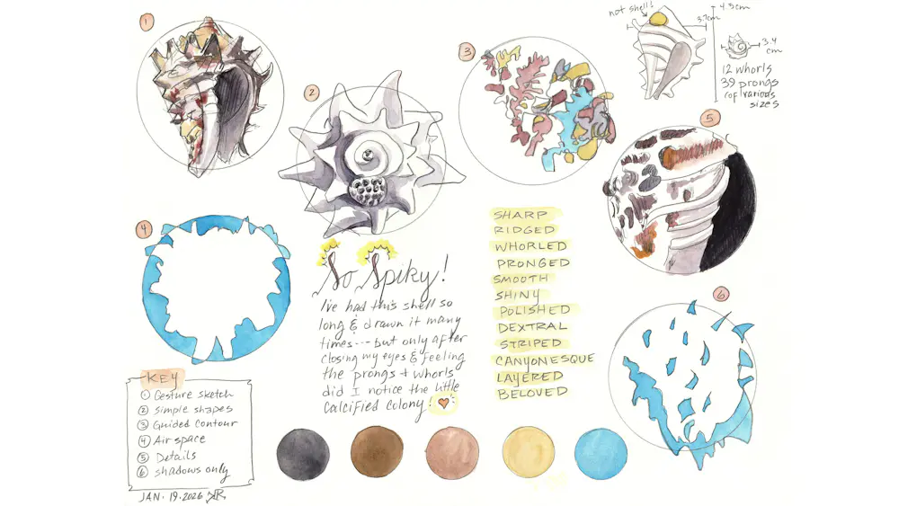 Object Studies | Art Toolkit