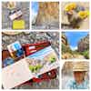 A collage of six photos showing different perspectives of a desert sketching scene: open sketchbooks, distant rocks, blooming yellow cacti.