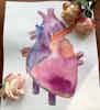 A watercolor illustration depicting a vibrant human heart. Flowers sit on top of it.